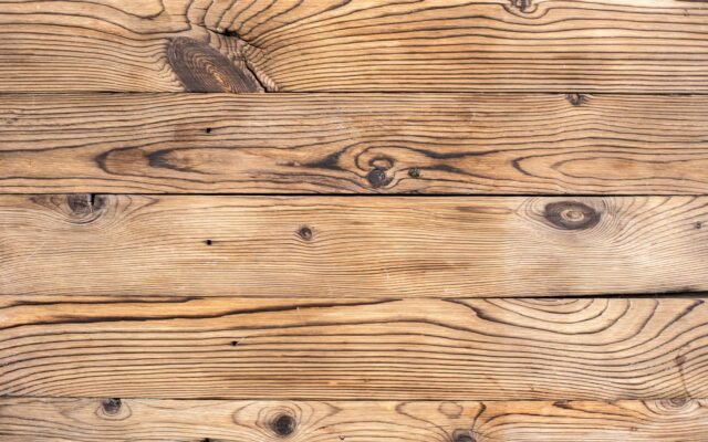Types of Wood for Woodworking: Hardwood vs Softwood Explained